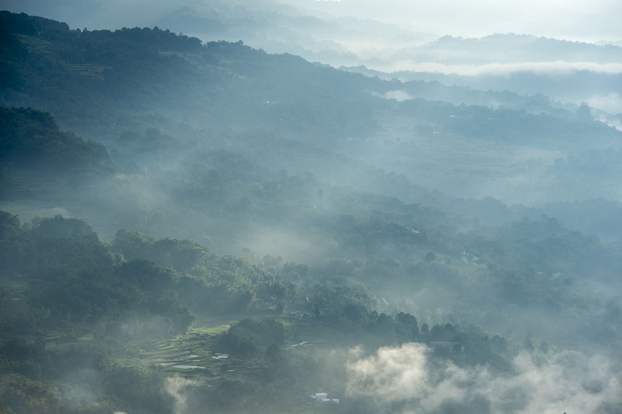 50 Negeri Di Atas Awan Lolai Toraja Utara Pictures Hd