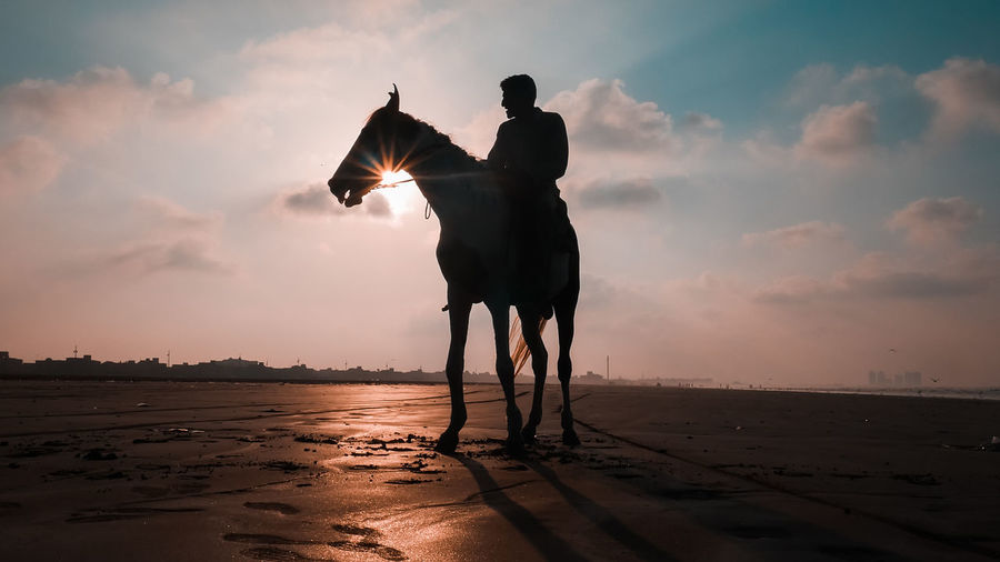 Man riding horse at beach against sky during sunset