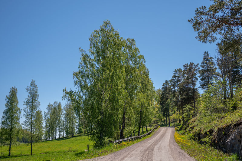 Road amidst trees against clear blue sky