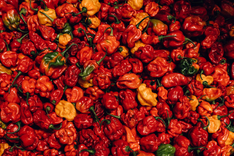 Hot chilli at the market
