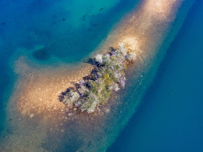 Sea swimming underwater