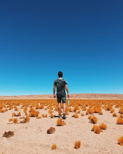 Rear view of man standing on arid landscape