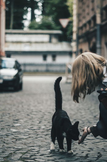 Black cat on the street