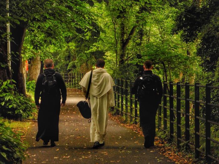 Full length rear view of priests walking on pathway amidst trees