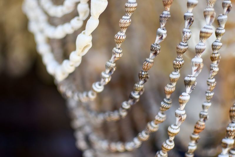 Close-up of shell decoration hanging in store