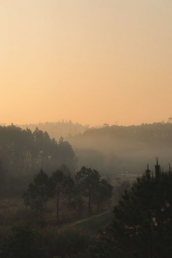 Scenic view of landscape against sky during sunset