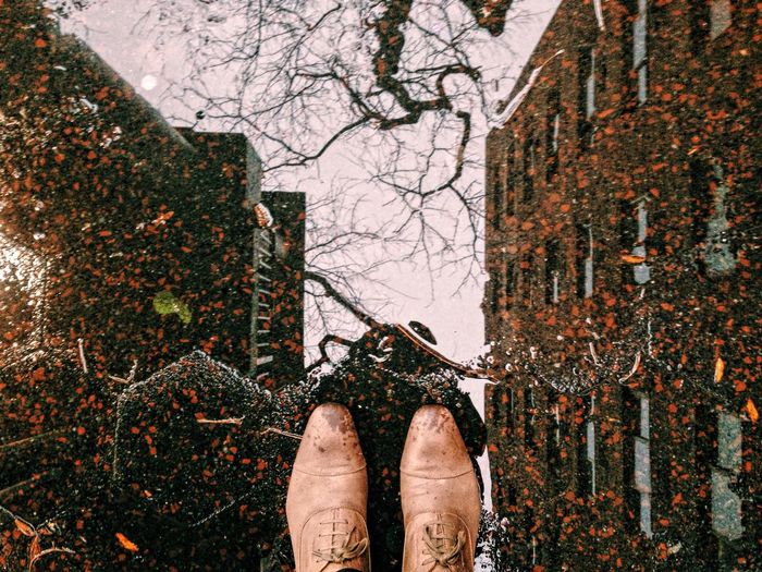 Close-up of reflection of bare tree in puddle by cropped shoes