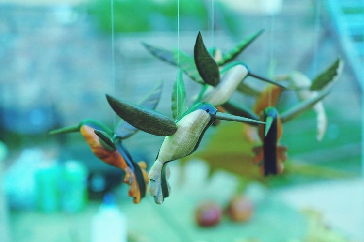 Close-up of bird representations against blurred background