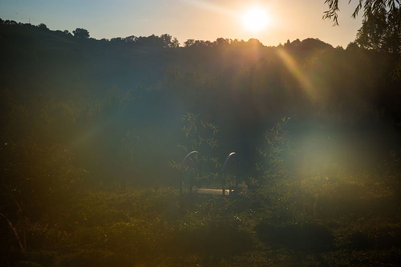 Scenic view of field against sky during sunset