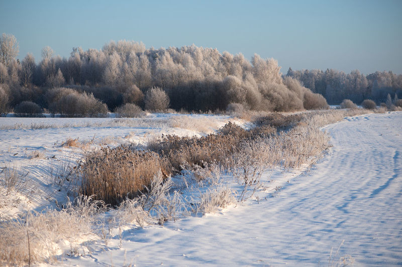 winter