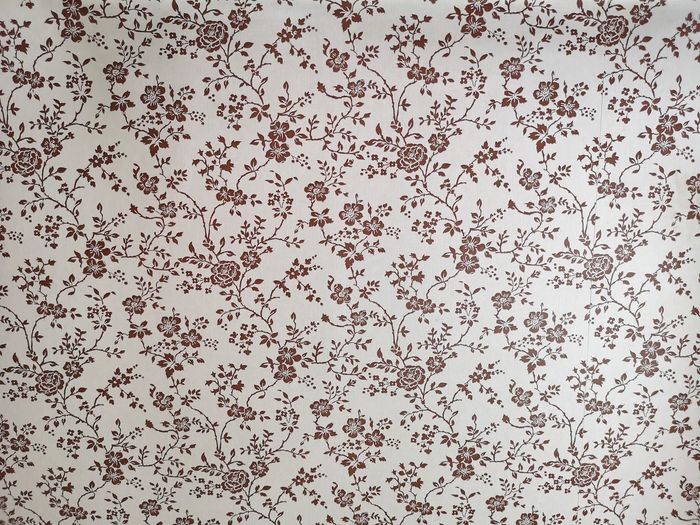 Full frame shot of white flowers against wall