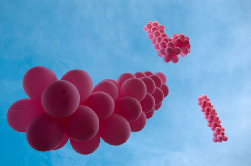 Low angle view of pink balloons against blue sky