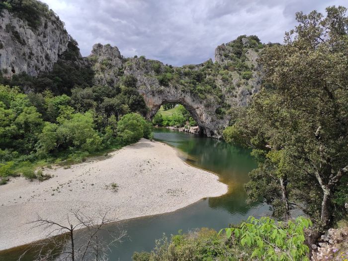 Scenic view of river amidst trees against sky