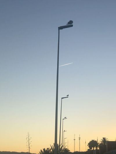 Low angle view of street light against clear sky