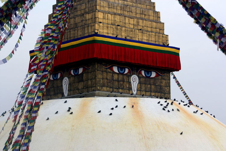 Low angle view of pigeons perching on bodnath stupa dome against sky