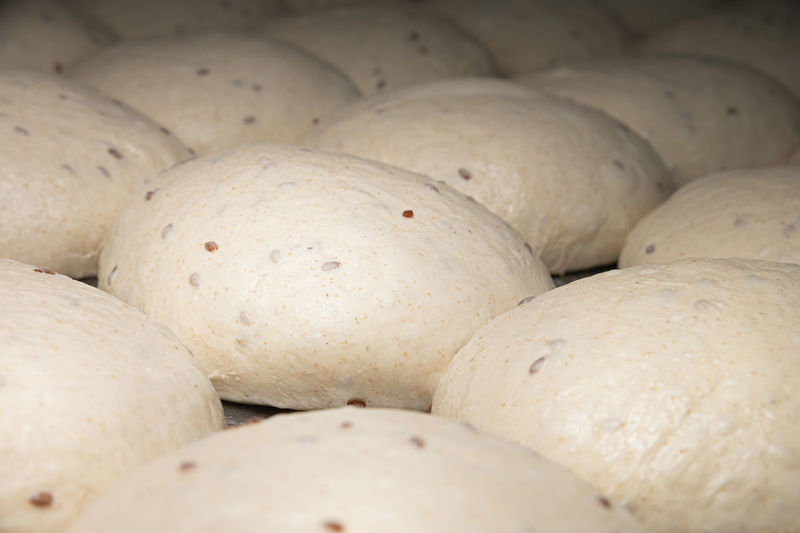 Close-up homemade yeast dough buns for cutlets on a baking sheet. hamburger buns dough pieces
