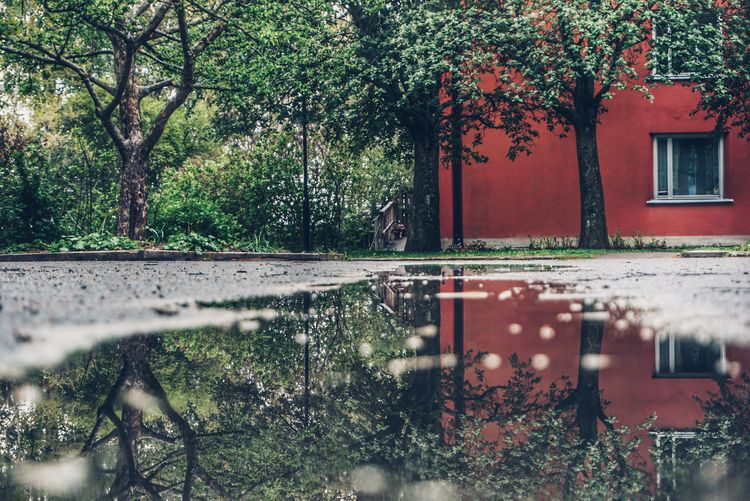 Reflection of trees and building in puddle 