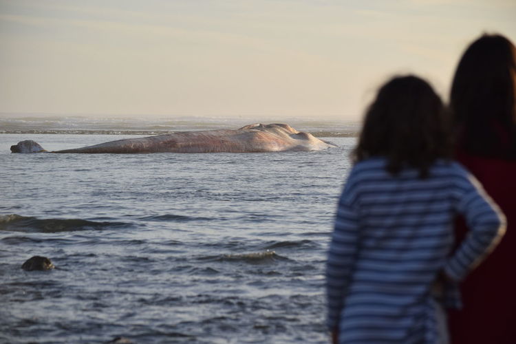 Rear view of mother and daughter looking at whale in sea