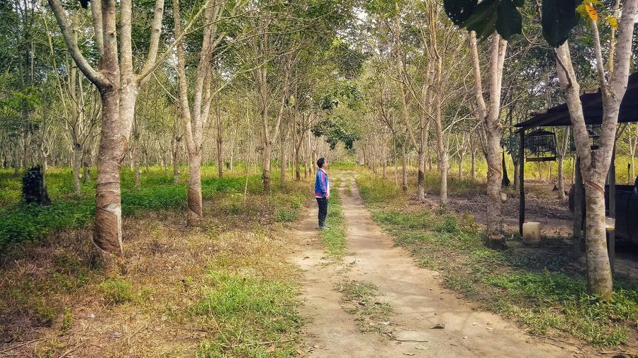 Rear view of man running on street amidst trees in forest