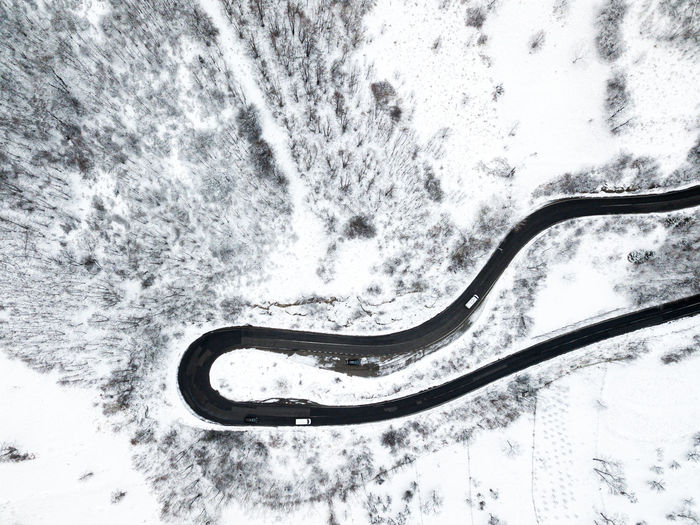 High angle view of horse in snow