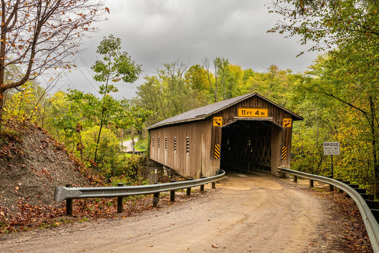 The Creek Road