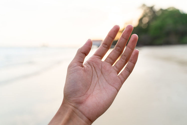 Close-up of hand holding leaf on beach