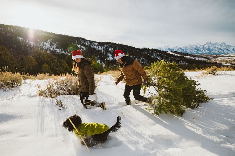 Couple with their dog hike in snow after cutting down christmas tree christmas tree