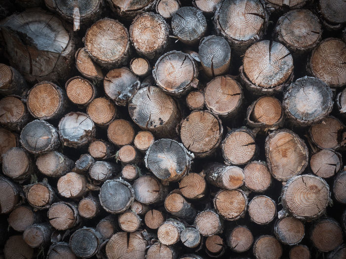 Full frame shot of logs with multiples colors