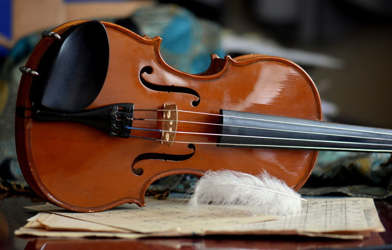 Close-up of violin and feather on table