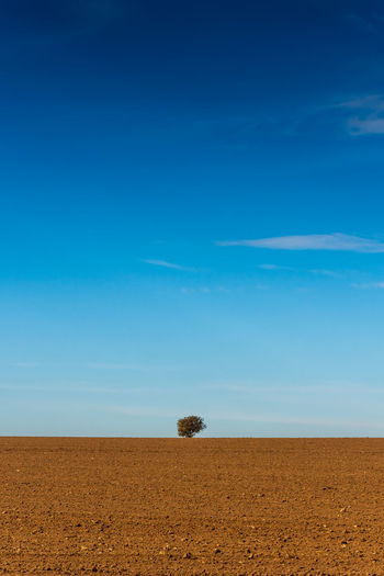 Scenic view of desert against blue sky