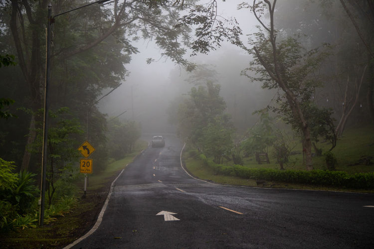 Road amidst trees against sky