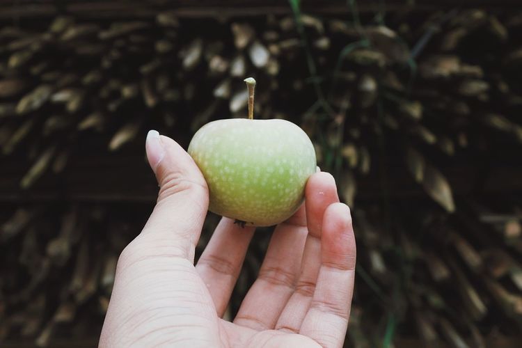 Cropped hand holding green fruit against wood