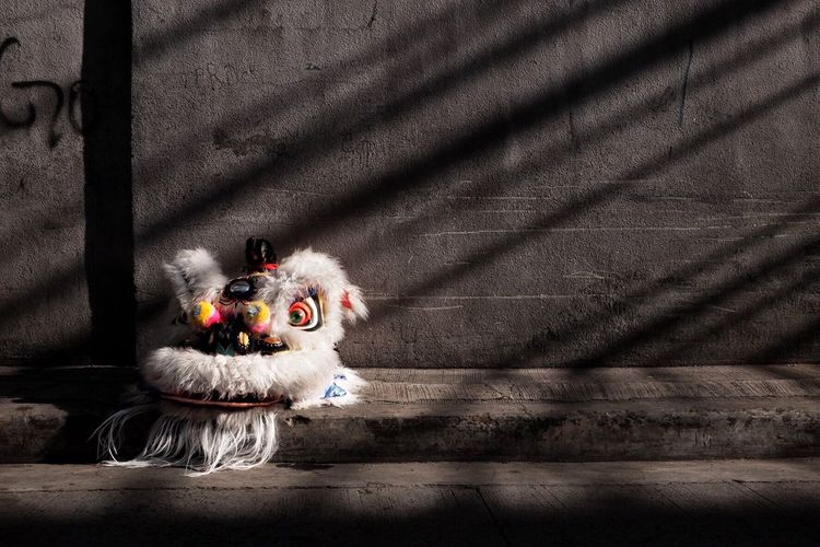 Dragon costume on sidewalk against wall