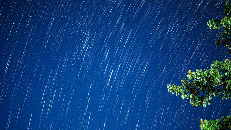 Low angle view of trees against blue sky at night