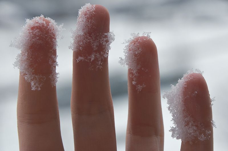 Cropped image of hand with snow