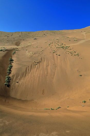 1193 leeward side-lake nuoertu's w.megadune-e.facing slope- badain jaran desert-inner mongolia-china