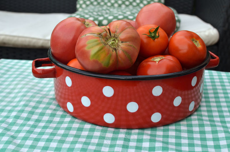 Ripe tomatoes just picked and collected in red traditional dish on a garden table