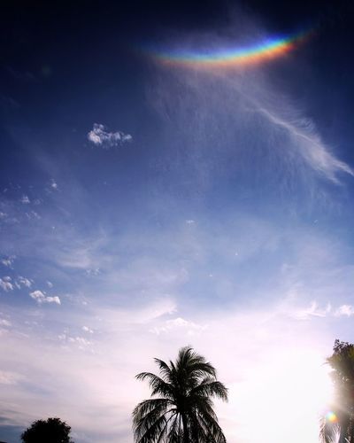 Low angle view of silhouette palm trees against blue sky
