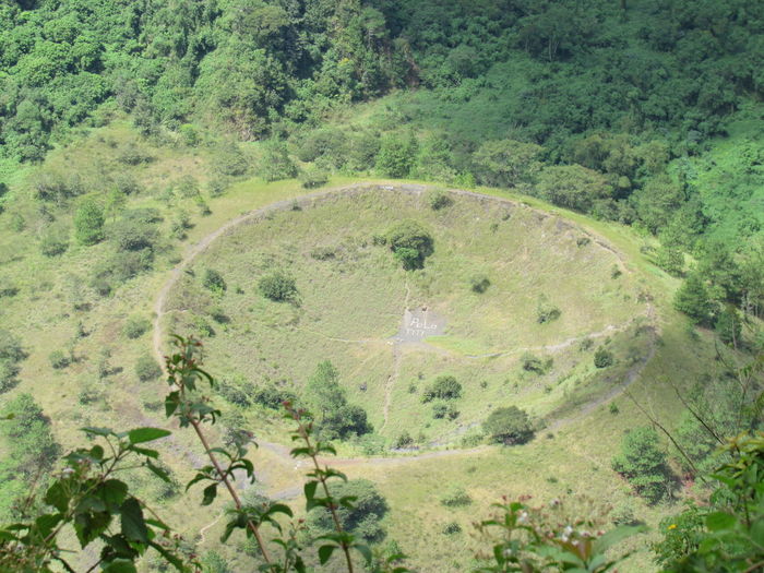 High angle view of trees on land