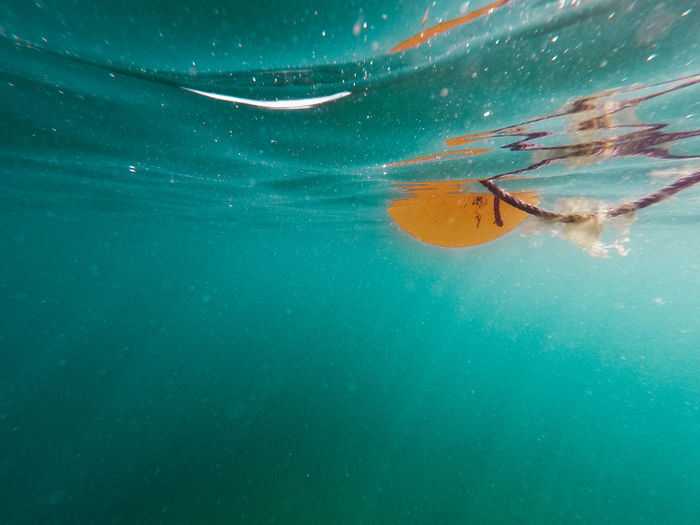 Close-up of person swimming in sea