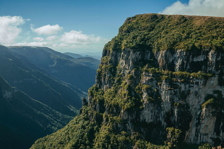 Fortaleza canyon with steep rocky cliffs covered by thick forest in cambara do sul. brazil.