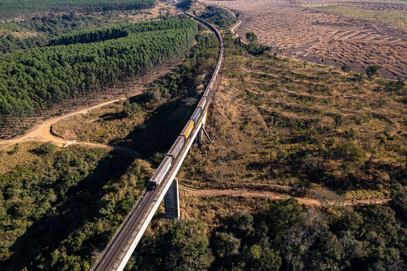 Bridge with train track over forest valley in the interior of brazil