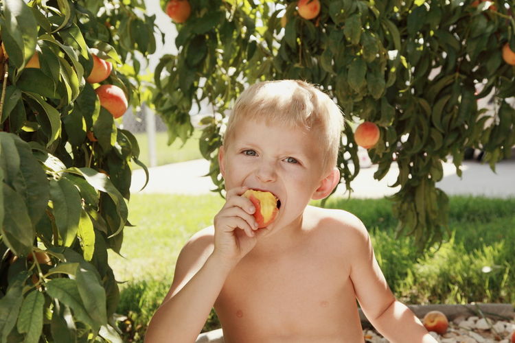 Portrait of cute boy eating peach on field