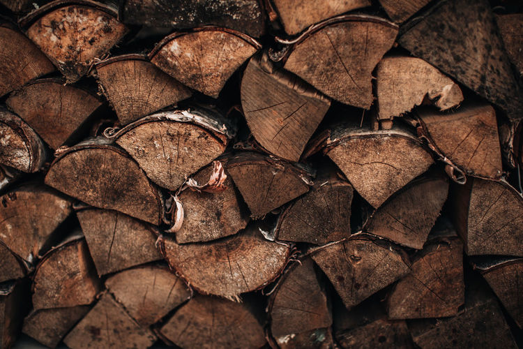 Close-up detail of chopped logs of a tree tied with a rope. background with natural texture.