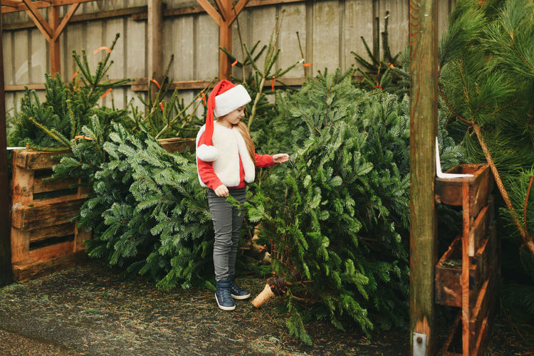 A girl chooses a christmas tree for sale at a shop