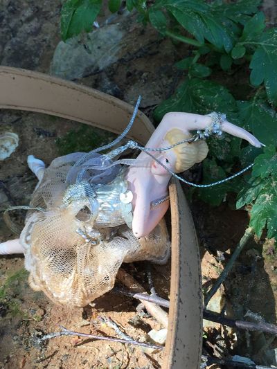 High angle view of abandoned doll and belt by plant