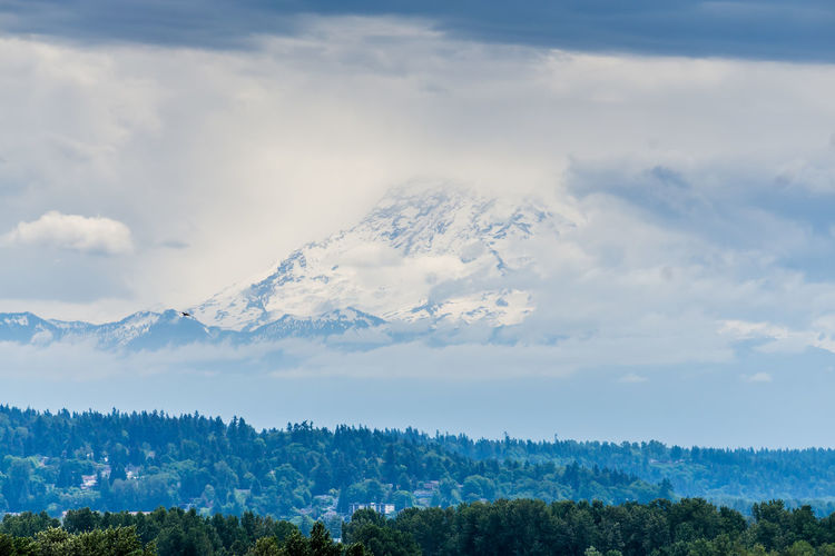 Mount rainier is surrounded by clouds with trees below.