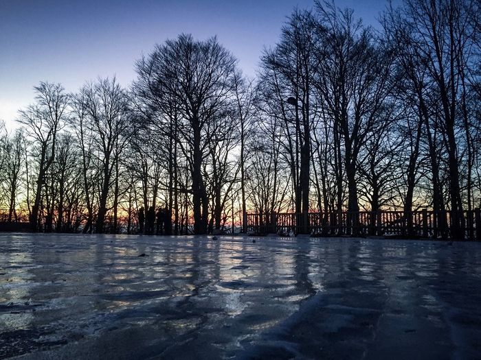 Bare trees by frozen lake against sky during sunset