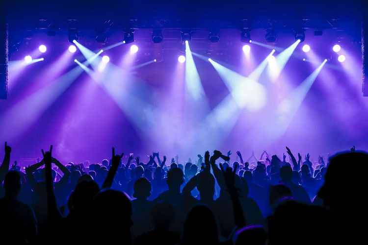 Crowd at music concert