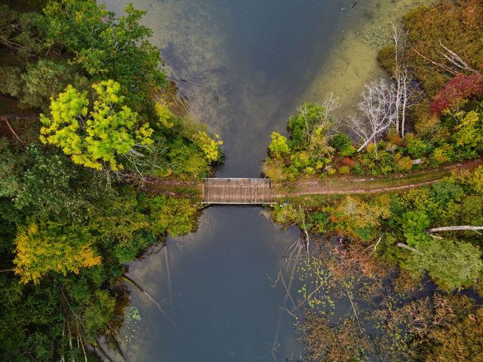 High angle view of lake amidst trees during autumn